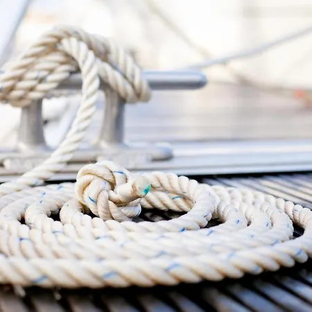 Dicht Dran, Direkt Am Alten Strom *